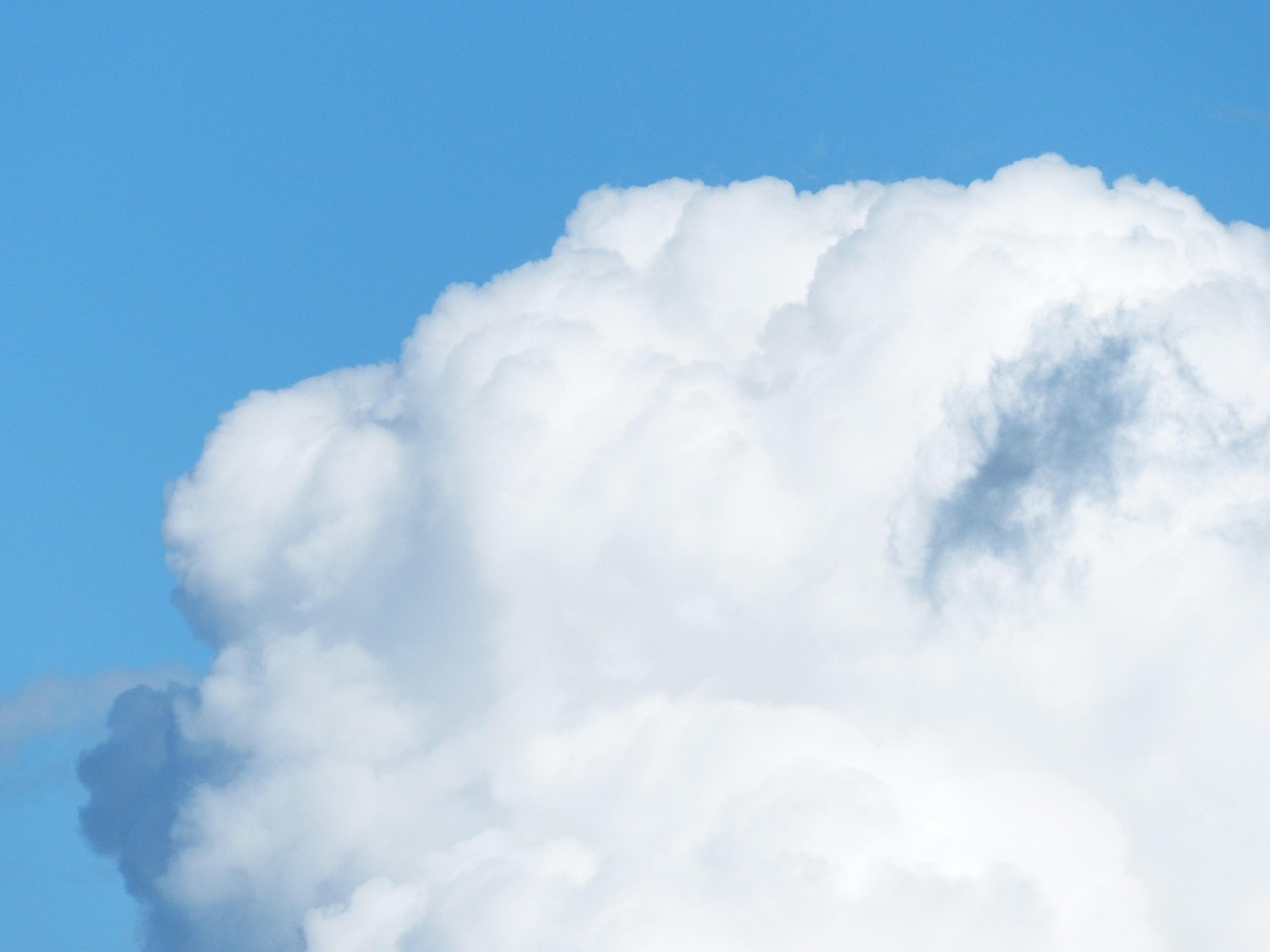 OpenAI — ai-infrastructure — OpenAI, Anthropic