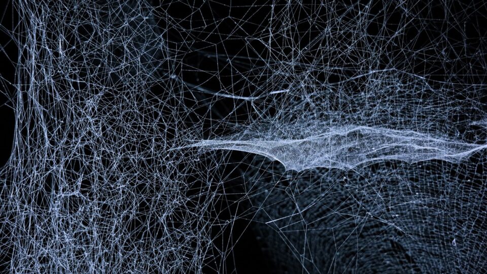 OpenAI — ai-infrastructure — OpenAI, Anthropic