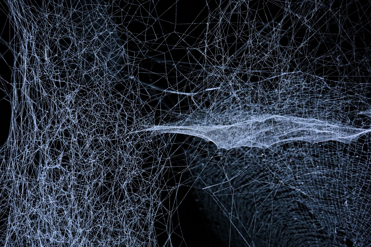 OpenAI — ai-infrastructure — OpenAI, Anthropic