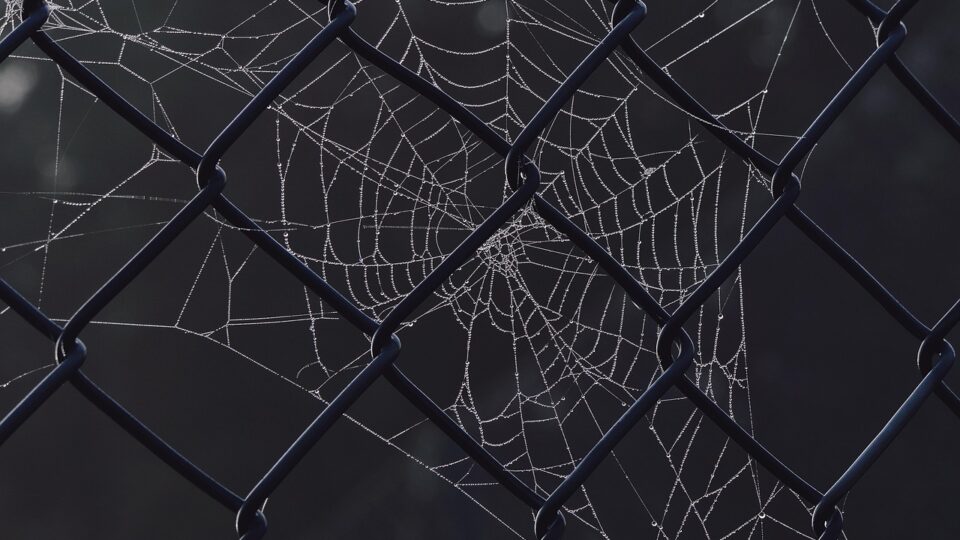 OpenAI — ai-infrastructure — OpenAI, Anthropic