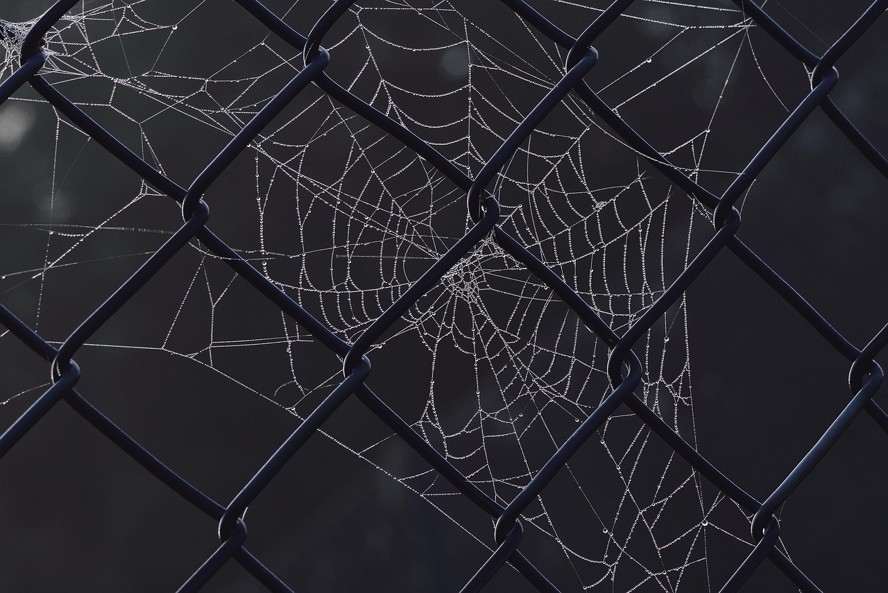 OpenAI — ai-infrastructure — OpenAI, Anthropic