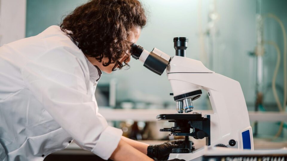 AI tools for scientific research — Google, Gemini for Science