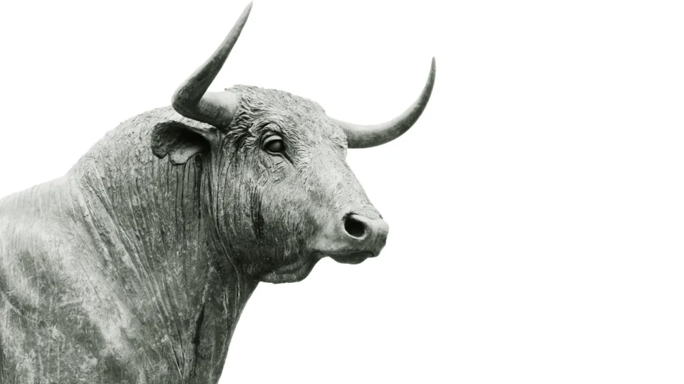 Market performance and stock movements — YMTC, SMIC