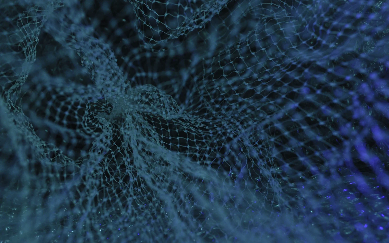 OpenAI — AI crypto — OpenAI, Anthropic