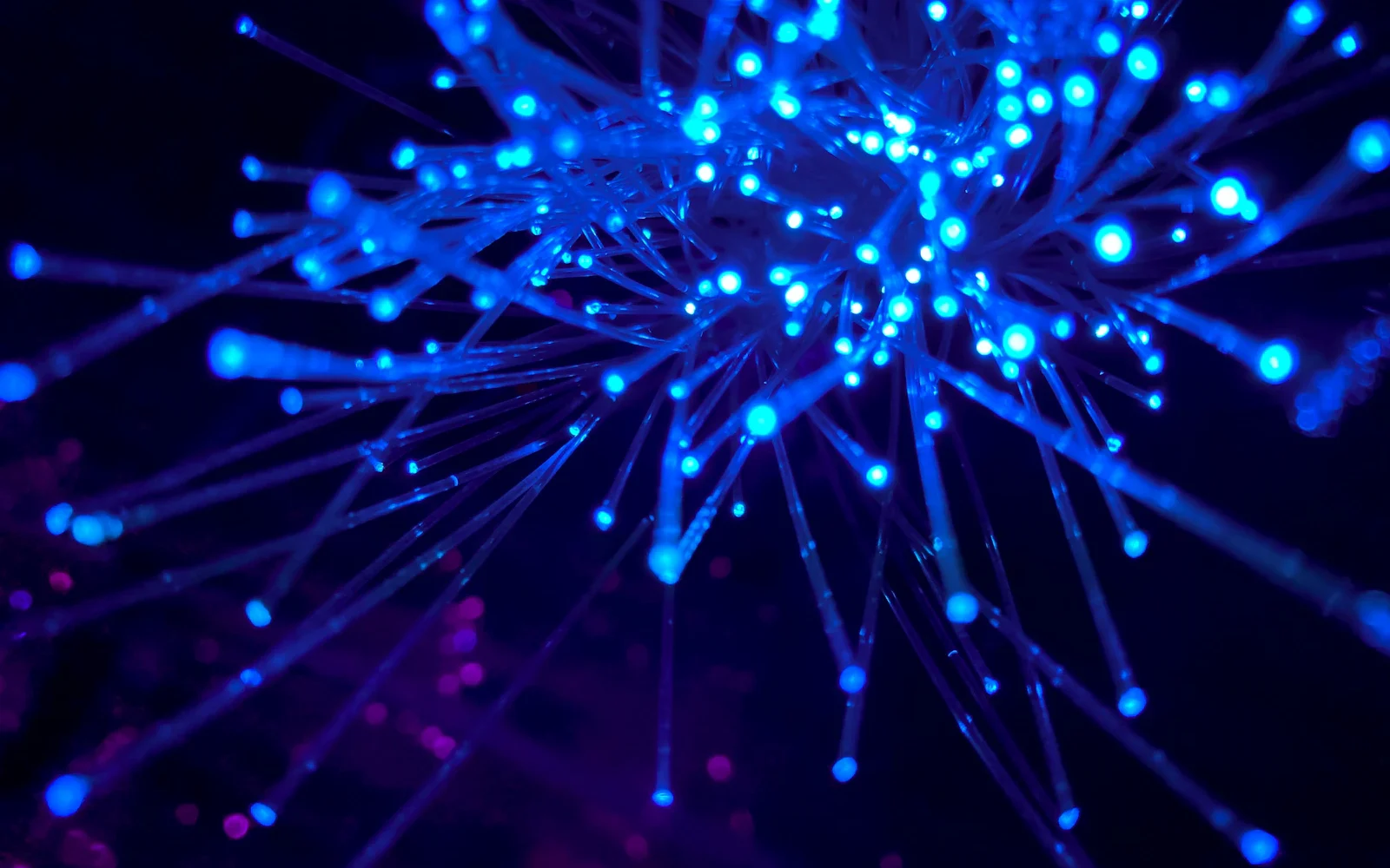 Ocean Protocol — ai-infrastructure — Ocean Protocol