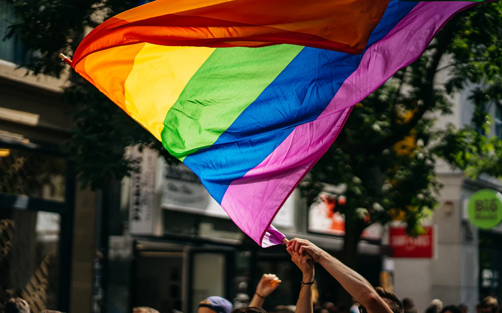 Political opinions in gay adult content — Roy3tev, Ruggery Valdivia Jimenez