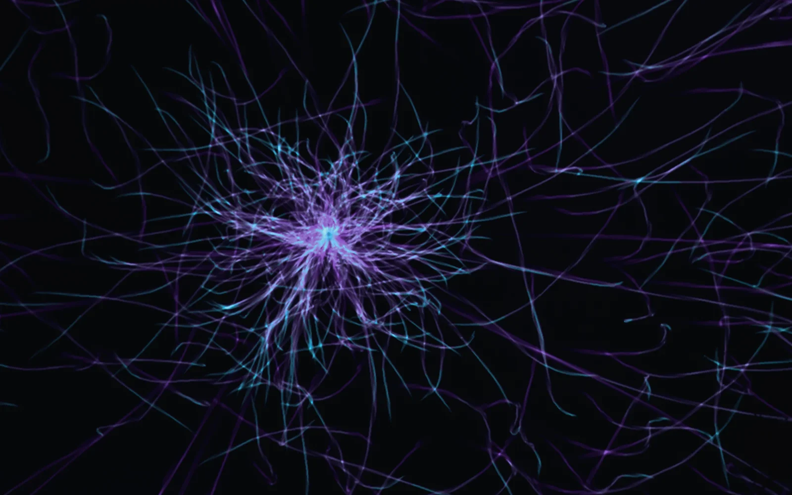 Anthropic — AI crypto — Anthropic